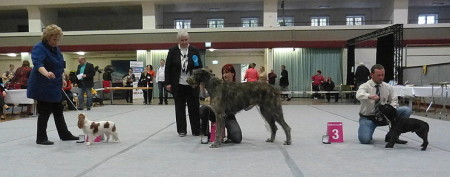 Saturday 1st Best In Show